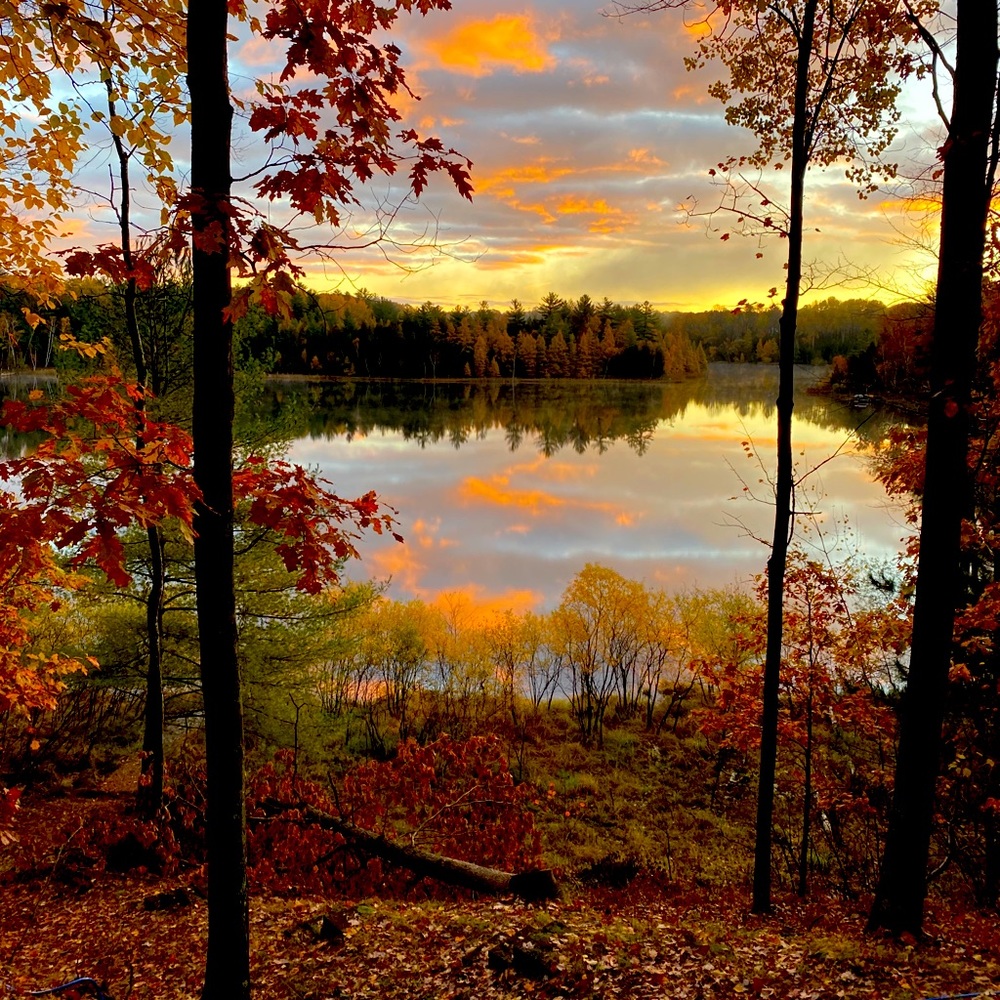 Meet your Posher, Brittani